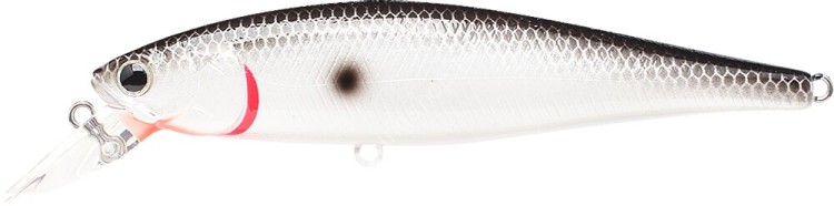 LUCKY CRAFT Pointer 100SP #Original Tennessee Shad