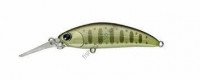 IMA Sukari 50SS Deep 121 Reflect green