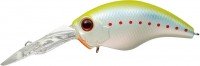 EVERGREEN Wildhunch8 Eight-footer #278 Morizo Chart