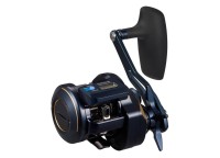 DAIWA 25 Saltiga IC 300HL-SJ-C