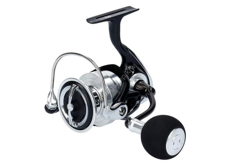 DAIWA 19 Lexa LT6000D-H Reels buy at Fishingshop.kiwi