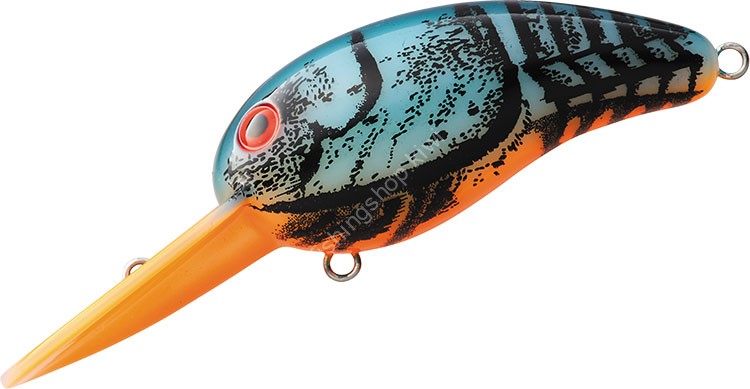 DAIWA Wild Peanut # Born Ransealon