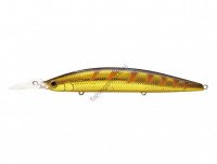 JACKSON Athlete 13MDS CGG Golden Gigo