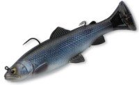 SAVAGE GEAR 3D Pulse Tail Trout 8'' FS #Hitch