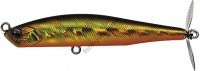EVERGREEN Prop Magic 75 # 25 Kinkuro