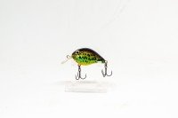 CALYPSO Chub CH318S BBG