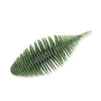 GEECRACK Bellows Gill 2 #006 WM Seed