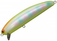 POZIDRIVE GARAGE Spank Walker 90F # 09 Chart Back Rainbow