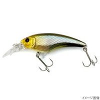 ISM Closer SR 55F 08 wakasagi