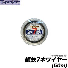 T-PROJECT Steel Wire 50m #36