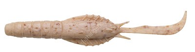 ECOGEAR J05 Aqua Swim Shrimp 4
