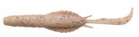 ECOGEAR J05 Aqua Swim Shrimp 4