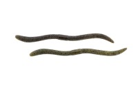 JACKALL Flick Shake 500 4.8'' #Double Green Pumkin (8pcs)