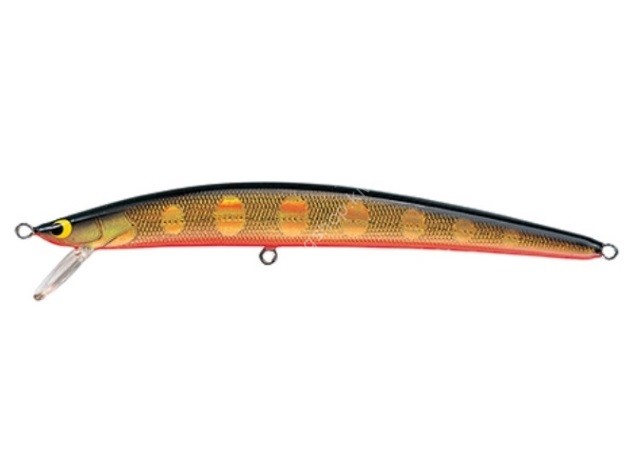 TACKLE HOUSE Twinkle Factory TWF123 #F-5 Gold/Black/Orange Belly
