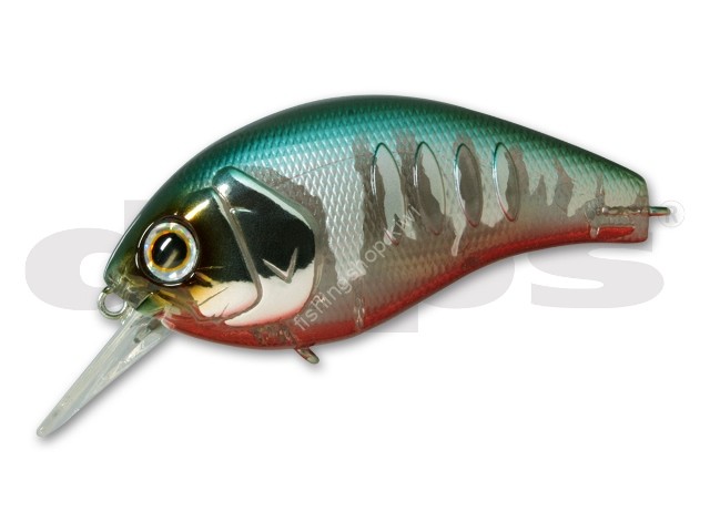 DEPS Korrigan Magnum 150 Rattle In #29 Dead Oikawa