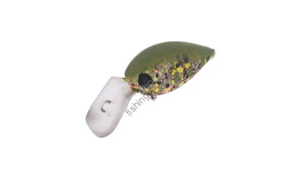 DAYSPROUT Pico ChatteCra MD-SS #PP-05 PP cage