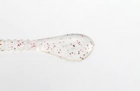 ISSEI Umi Taro Spatera 1.5 # 055 Umashiro shrimp (glow)