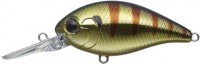 EVERGREEN Combat Crank 250 # 374 OK Gold