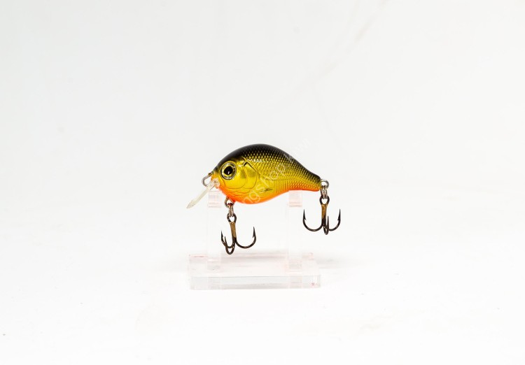 CALYPSO Chubby Chaser CHC332 BGR