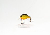 CALYPSO Chubby Chaser CHC332 BGR