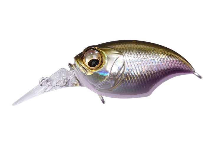 MEGABASS MR-X Griffon 43F 7.1g #GG Wakasagi