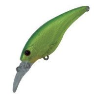 ISM Closer SR 55F 09 skeleton lime chart
