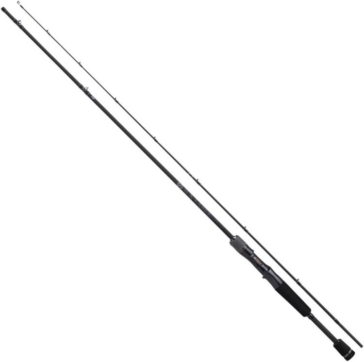 DAIWA Black Label C66L+ -2/BF