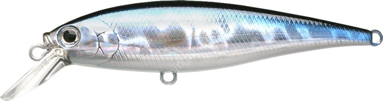 LUCKY CRAFT Pointer 78SP #Aurora Black