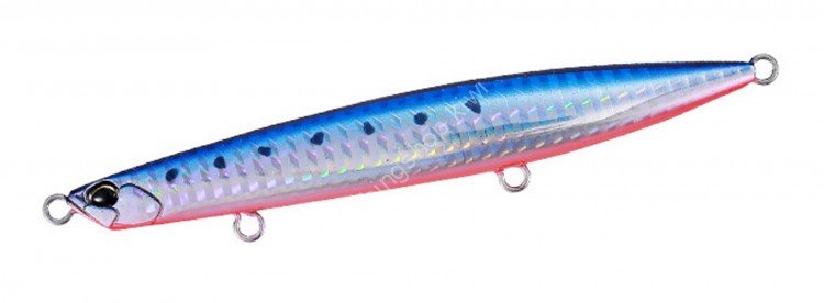 DUO Beach Walker Wedge 120S CHA0087 Mazume Sardine