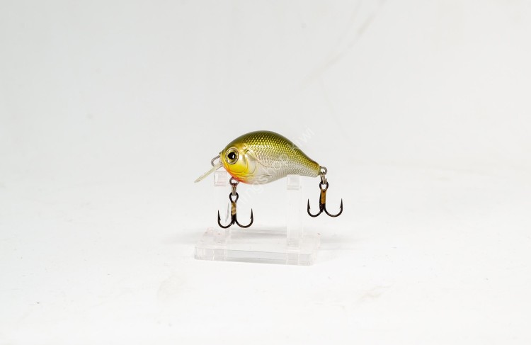 CALYPSO Chubby Chaser CHC332 G