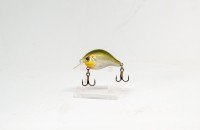 CALYPSO Chubby Chaser CHC332 G