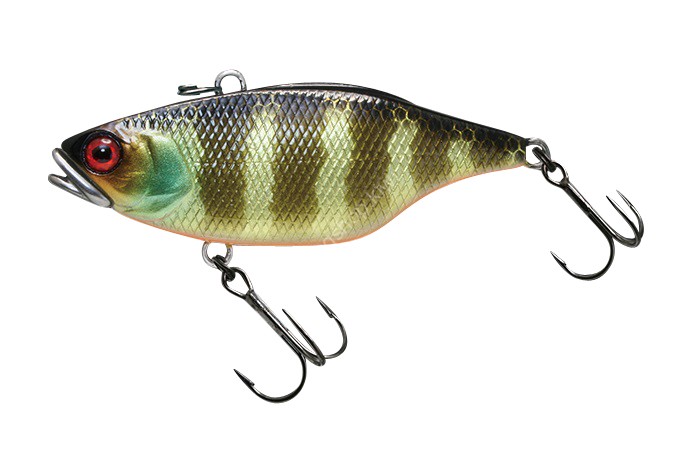 JACKALL Skull Shell TN60 Maruhata S #Maruhata Gold Gill