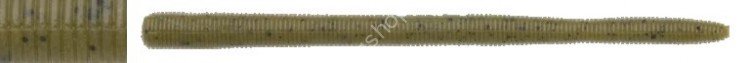 NORIES 5 -1/4" Latterie #098