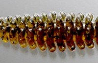 ISSEI BiBiBi Bug 4" #07 Green Pumpkin