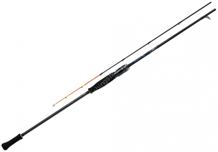 DAIWA Emeraldas EX IkaMetal N65ULS-SMT