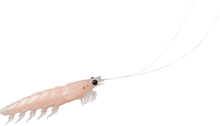 DAIWA Kaiteki Real Okiami Worm 3L #Yakou Okiami