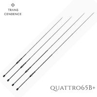 TRANSCENDENCE Quattro 65B+