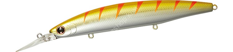 DAIWA Shore Line Shiner Z Set Upper 145S-DR #Golden Gigo