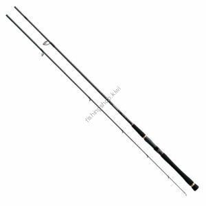 Daiwa Seabass Hunter X 100MH