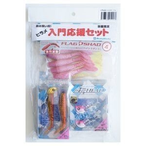BUDDY WORKS Set 2000 21g