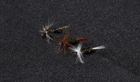 VANFOOK Tenkara Master Keikoku TM-09 #14