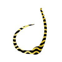 SASA LABO SCC-03 Single Cobra Curly #Black Gold Zebra