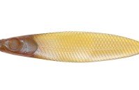 ISSEI Liar Minnow Flat Sakana Sakana 3.8" #69 Kuishiburi Pumpkin