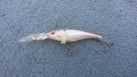 MEGABASS SHADING-X (SP-C) Water Town Secret