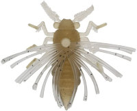 BAIT BREATH NoLook Bug #601 Spring Cicada
