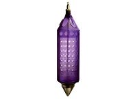 SANY Bishi Jumbo [Purple] #120
