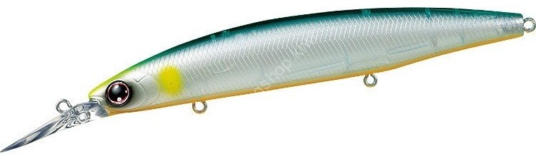 DAIWA Shore Line Shiner Z Set Upper 125S-DR #Emerald Ayu