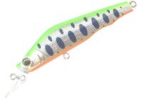 FIELD HUNTER R.Zone 80SS #11 S.Keiko Green/Orange Belly