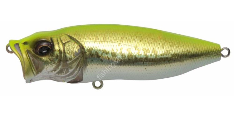 MEGABASS Popmax #GG Chart Back Bass