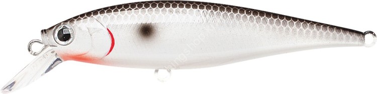 LUCKY CRAFT Pointer 78SP #Original Tennessee Shad